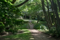The Wilderness - Hidcote Manor Garden