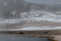 Patricia_Freysinger_Yellowstone-National-Park-landscape-09
