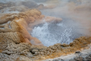 Patricia_Freysinger_Yellowstone-National-Park-landscape-16