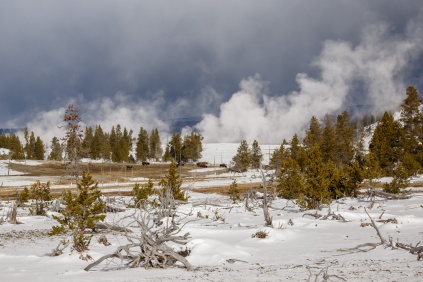 Patricia_Freysinger_Yellowstone-National-Park-landscape-19