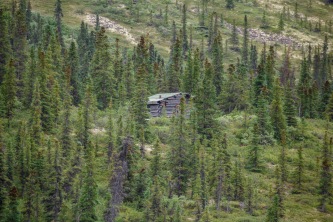 Patricia_Freysinger_Alaska-landscape-04