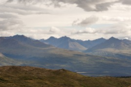 Patricia_Freysinger_Alaska-landscape-13